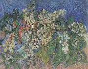Blossoming Chestnut Branches (nn04) Vincent Van Gogh